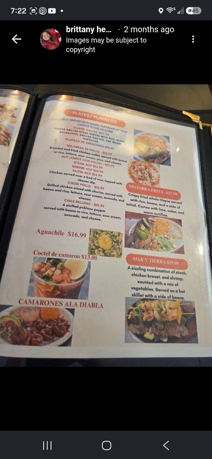 Taqueria El Gammi menu page 3 with plates and Mexican specialties